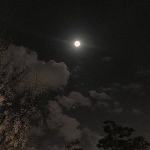 Meet your Posher, Angel